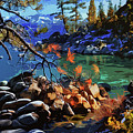 The crystal waters of Lake Tahoe