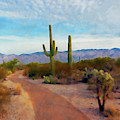 Arizona Landscape - 02
